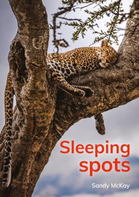 book cover thumbnail