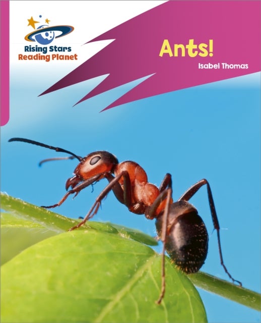 Bilde av Reading Planet: Rocket Phonics - Target Practice - Ants! - Pink A Av Isabel Thomas