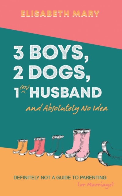 3 Boys, 2 Dogs, 1 (Ex) Husband and Absolutely No Idea - Definitely not a guide to parenting (or Marriage)