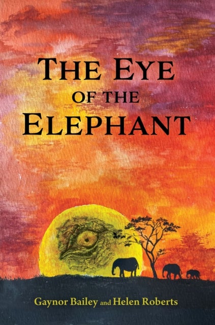 The Eye of the Elephant - And What Do You See?