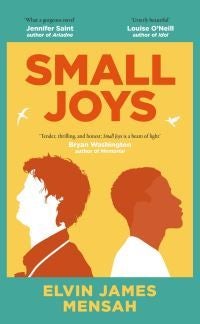 Small Joys - The most moving and uplifting debut novel of 2023