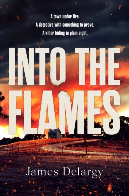 Into the Flames - The scorching new summer thriller