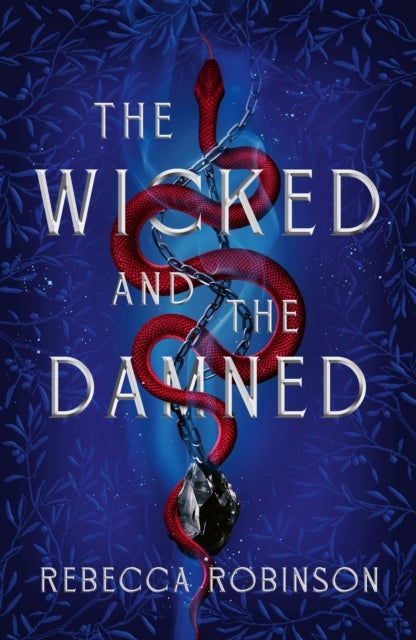 The Wicked and the Damned - The heart-racing romantasy sequel of two soulmates in the race to reunite