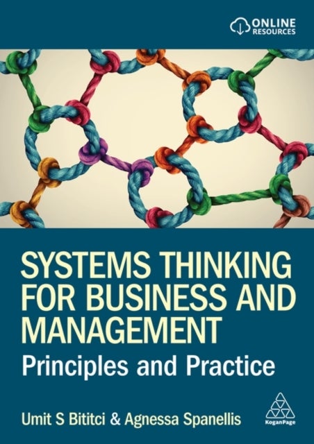 Systems Thinking for Business and Management - Principles and Practice