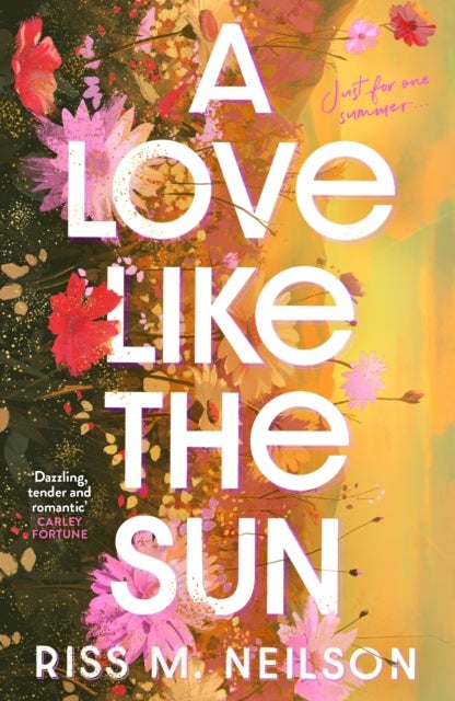 A Love Like the Sun - The tender and unforgettable romantic debut for 2024