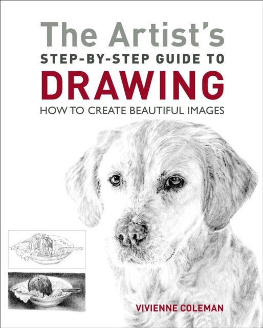 Bilde av The Artist&#039;s Step-by-step Guide To Drawing Av Vivienne Coleman