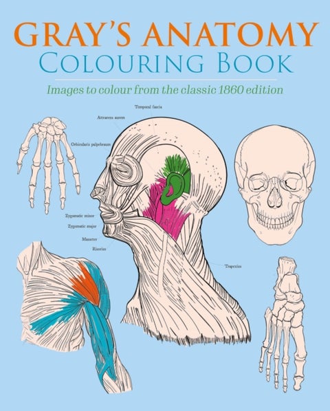 Gray's Anatomy Colouring Book - Images to Colour from the Classic 1860 Edition
