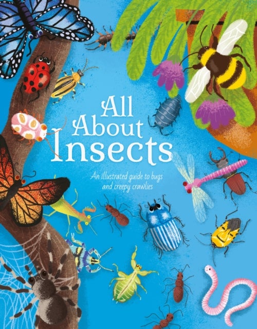 All About Insects - An illustrated guide to bugs and creepy-crawlies