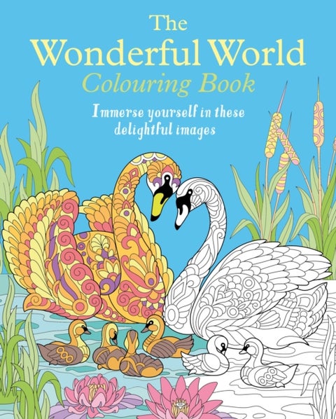 The Wonderful World Colouring Book - Immerse yourself in these delightful images