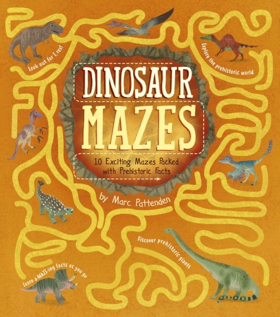 Dinosaur Mazes