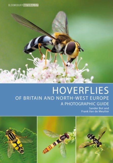 Bilde av Hoverflies Of Britain And North-west Europe Av Sander Bot, Frank Van De Meutter