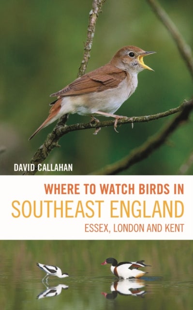 Where to Watch Birds in Southeast England - Essex, London and Kent