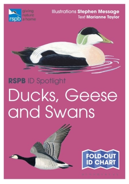Bilde av Rspb Id Spotlight - Ducks, Geese And Swans Av Marianne Taylor