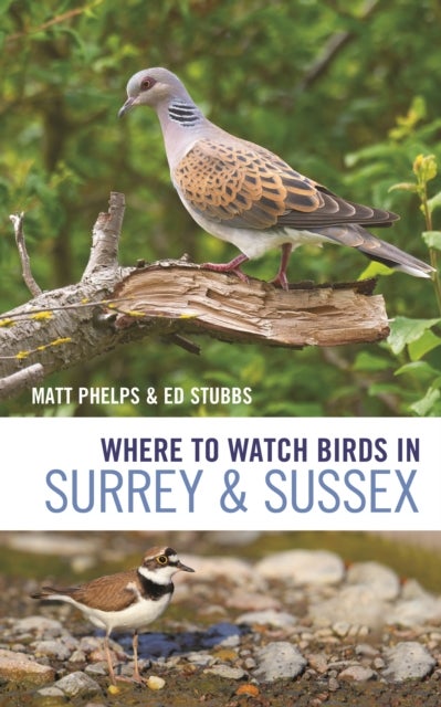 Bilde av Where To Watch Birds In Surrey And Sussex Av Matthew Phelps, Ed Stubbs
