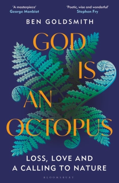 Bilde av God Is An Octopus Av Ben Goldsmith