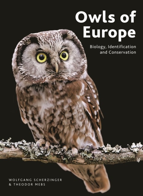 Owls of Europe - Biology, Identification and Conservation