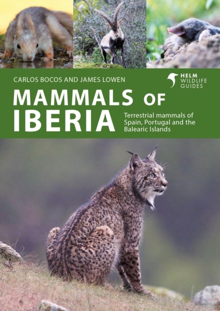 Mammals of Iberia - Terrestrial mammals of Spain, Portugal and the Balearic Islands