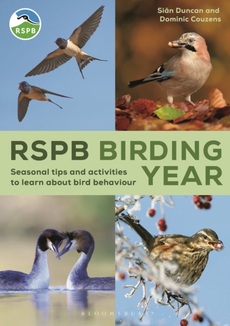 RSPB Birding Year - Seasonal tips and activities to learn about bird behaviour