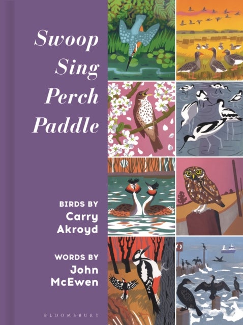 Swoop, Sing, Perch, Paddle - Birds by Carry Akroyd