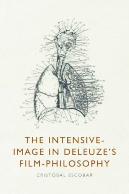 The Intensive-Image in Deleuze's Film-Philosophy
