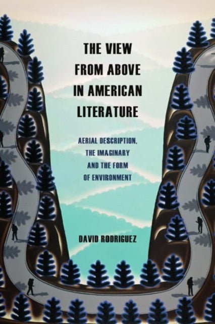 The View from Above in American Literature - Aerial Description, the Imaginary and the Form of Environment