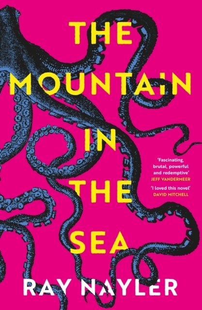 The Mountain in the Sea - Winner of the Locus Best First Novel Award
