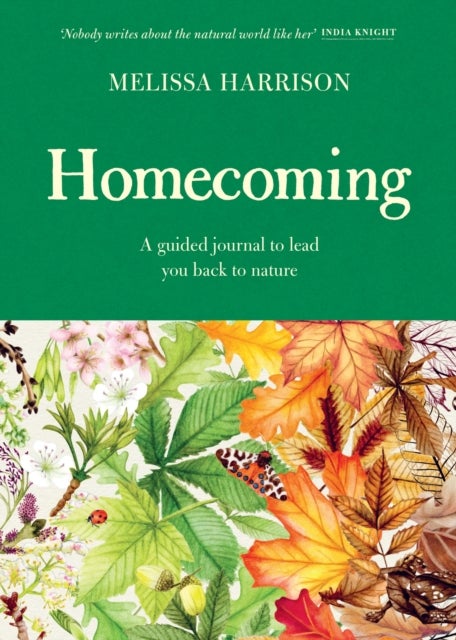 Homecoming - A Guided Journal to Lead You Back to Nature
