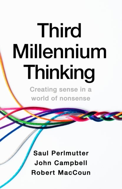 Third Millennium Thinking - Creating Sense in a World of Nonsense