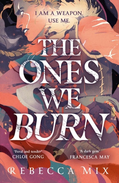 The Ones We Burn - the New York Times bestselling dark epic young adult fantasy