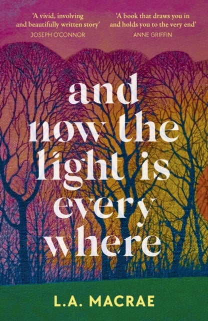 And Now the Light is Everywhere - A stunning debut novel of family secrets and redemption