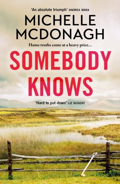 Somebody Knows - A gripping, addictive page-turner about dangerous secrets and the lengths people will go to keep the