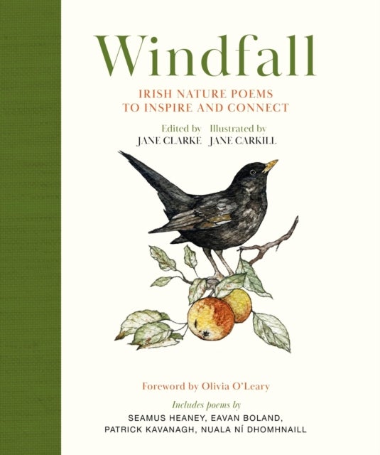 Windfall - Irish Nature Poems to Inspire and Connect