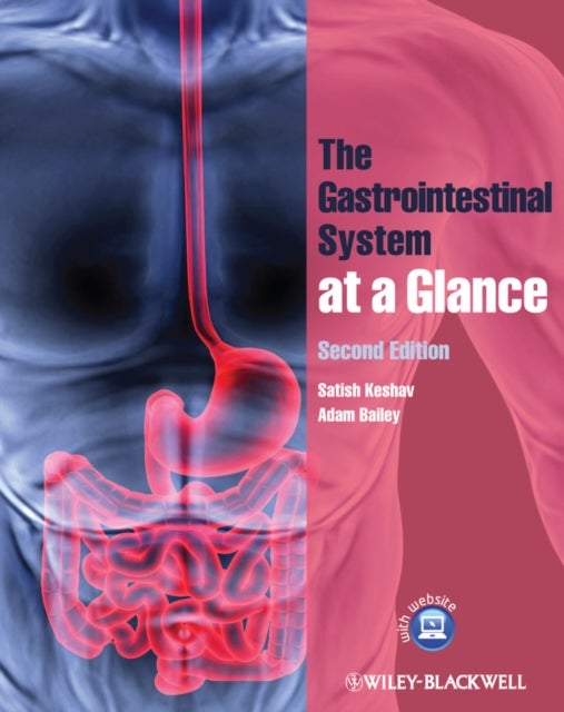 Bilde av The Gastrointestinal System At A Glance Av Satish (john Radcliffe Hospital Oxford) Keshav, Adam (john Radcliffe Hospital Oxford) Bailey