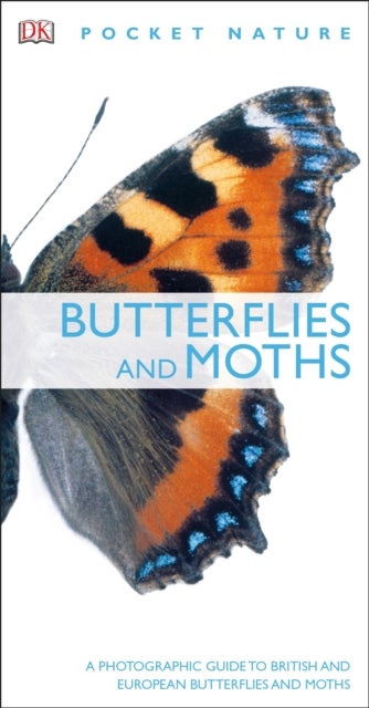 Butterflies and Moths - A Photographic Guide to British and European Butterflies and Moths