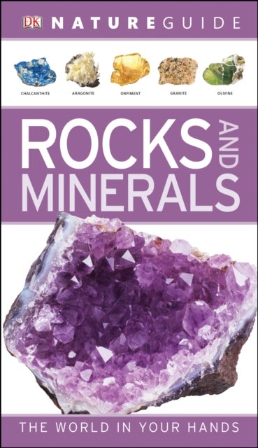 Nature Guide Rocks and Minerals - The World in Your Hands