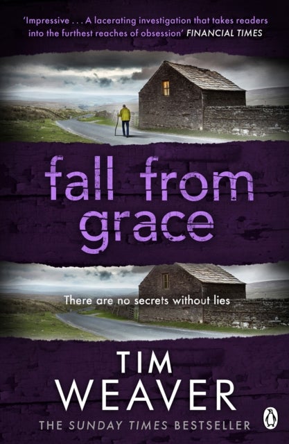 Fall From Grace - Her husband is missing . . . in this BREATHTAKING THRILLER