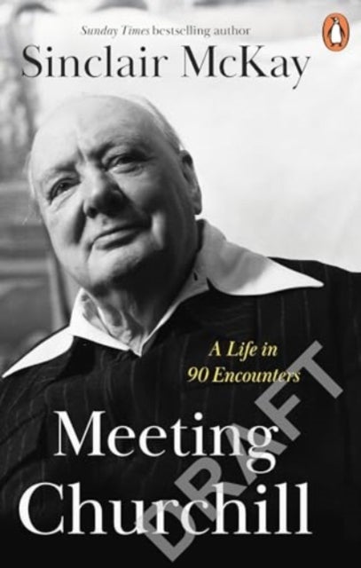 Meeting Churchill - A Life in 90 Encounters
