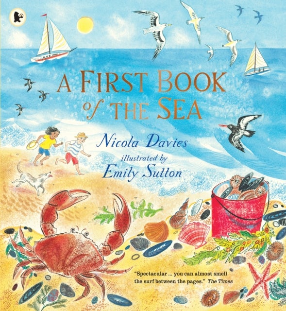 Bilde av A First Book Of The Sea Av Nicola Davies