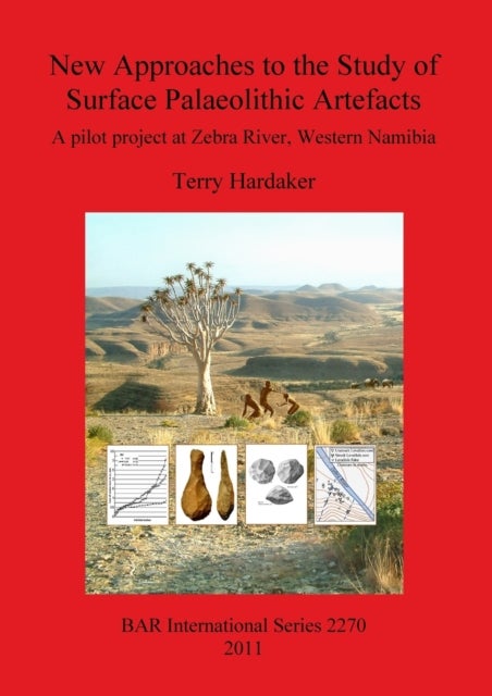 New Approaches to the Study of Surface Palaeolithic Artefacts - A pilot project at Zebra River, Western Namibia