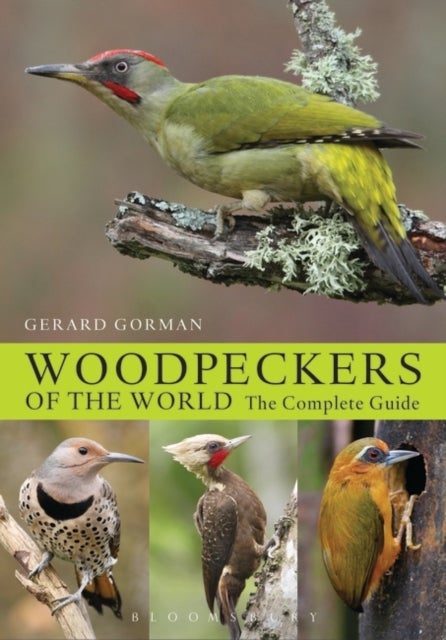 Woodpeckers of the World - The Complete Guide