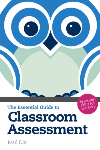 The Essential Guide to Classroom Assessment - Practical Skills for Teachers
