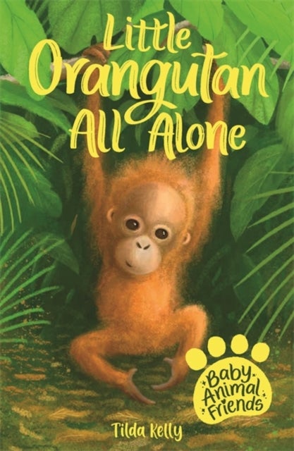 Baby Animal Friends: Little Orangutan All Alone - Book 3