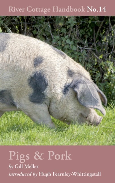 Pigs & Pork - River Cottage Handbook No.14