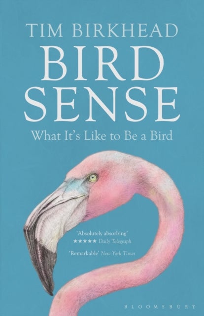 Bird Sense - What It's Like to Be a Bird