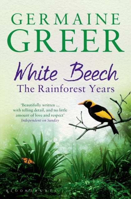 White Beech - The Rainforest Years