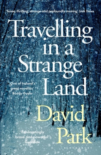 Travelling in a Strange Land - Winner of the Kerry Group Irish Novel of the Year