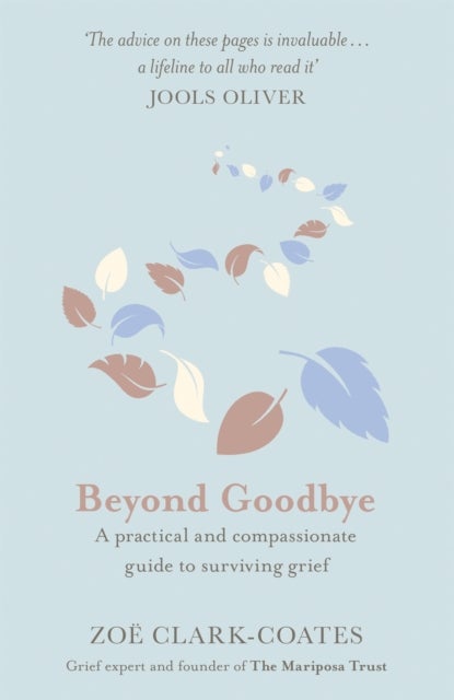 Beyond Goodbye - A practical and compassionate guide to surviving grief, with day-by-day resources to navigate a path
