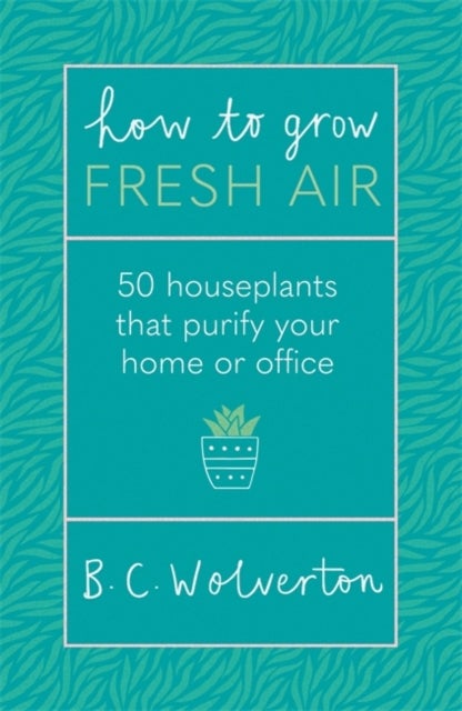 How To Grow Fresh Air - 50 Houseplants To Purify Your Home Or Office