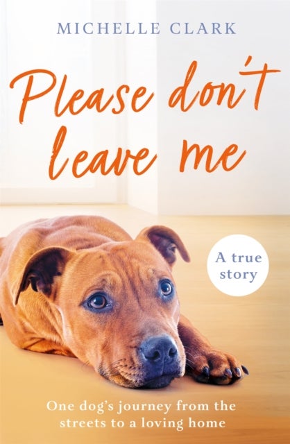 Please Don't Leave Me - The heartbreaking journey of one man and his dog
