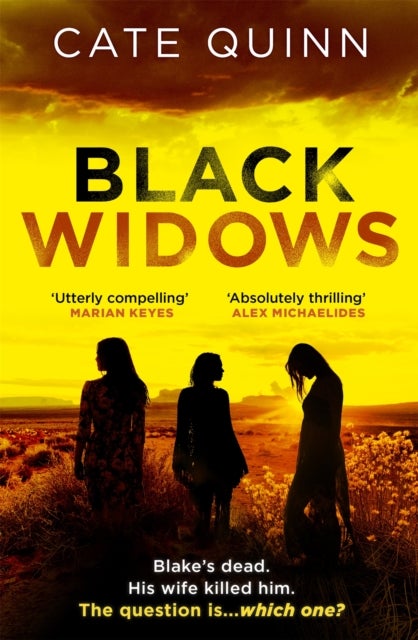 Black Widows - The atmospheric and addictive Mormon murder mystery